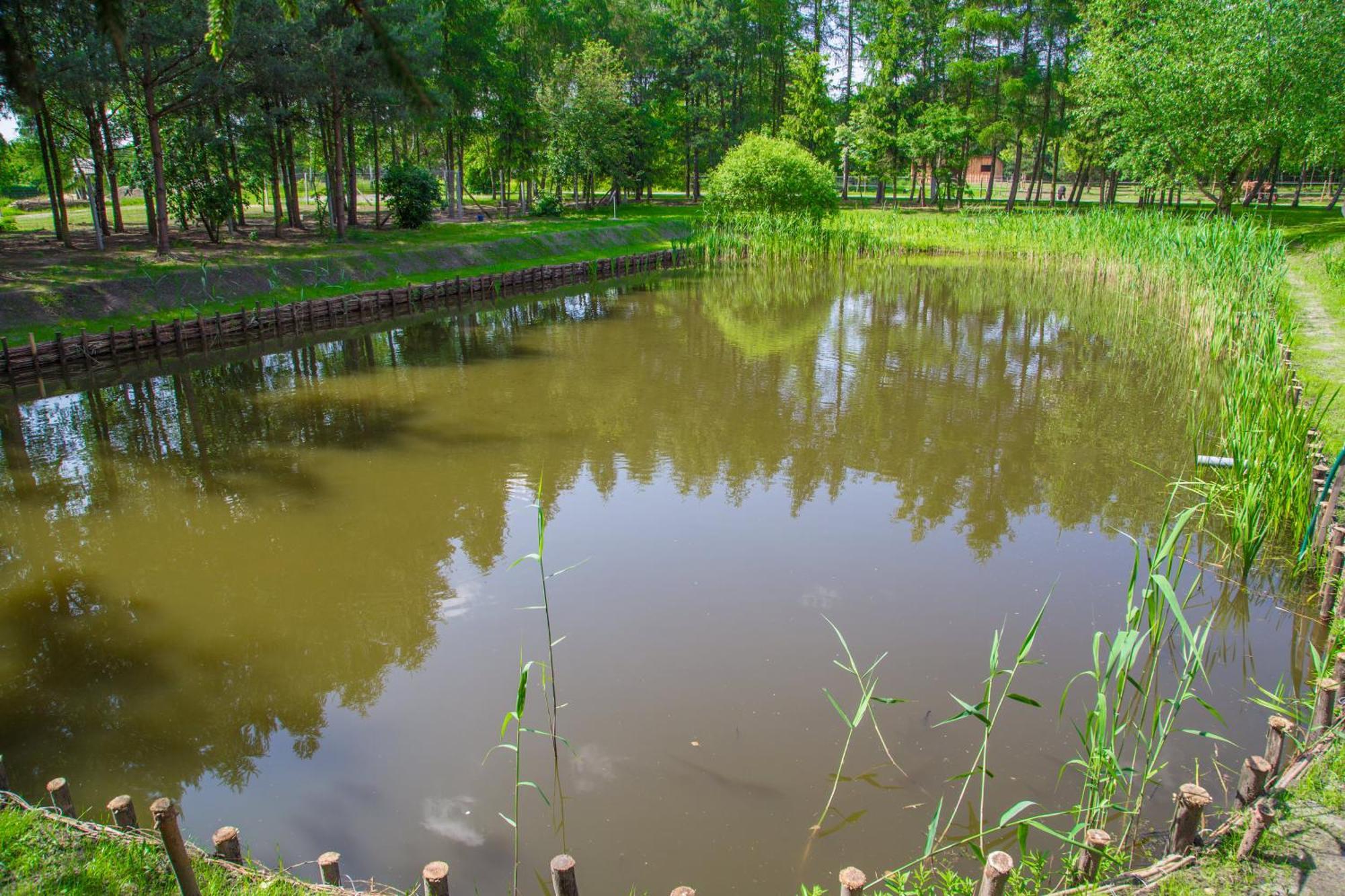 Agroturystyka Olszynka Skopanie Exterior photo